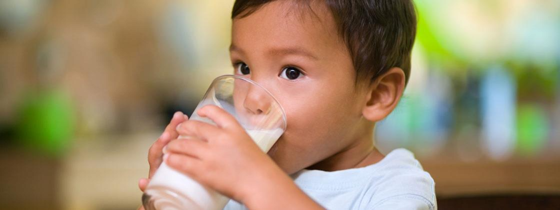 La leche en polvo y sus beneficios